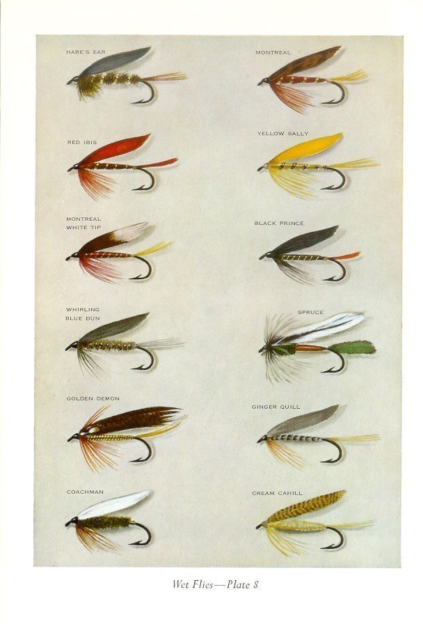 Señuelos ilustración